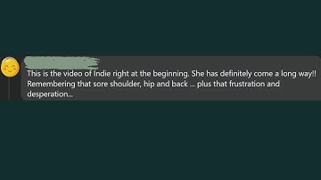 Canine Chaos to Calm Member Indie