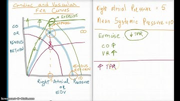Easy Ways to Understand Cardiac and Vascular Function Curves