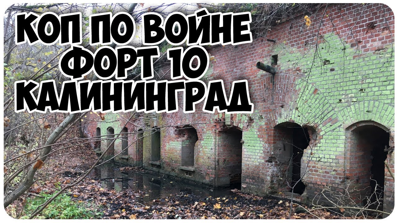 Карина форта 10