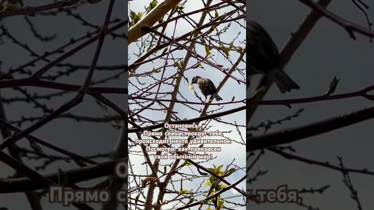 Обычный мир 😇  