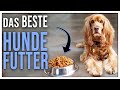 Gutes hundefutter  so ftterst du deinen hund am besten  tgh 5