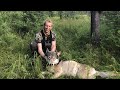 Hunting Idaho Wolves BIG FEMALE - Stuck N the Rut 122