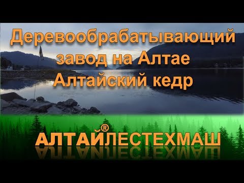 Бейне: Кедр тақталары: шеттері мен жиектері, ванналар мен сөрелер үшін, Алтай мен канадалық балқарағайдан жасалған тақтайшалар, басқа нұсқалар