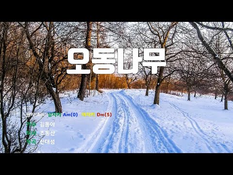 [은성 반주기] 오동나무 - 김동아