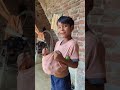 आप का बेटा कैसा है#shorts #trending #viralvideo