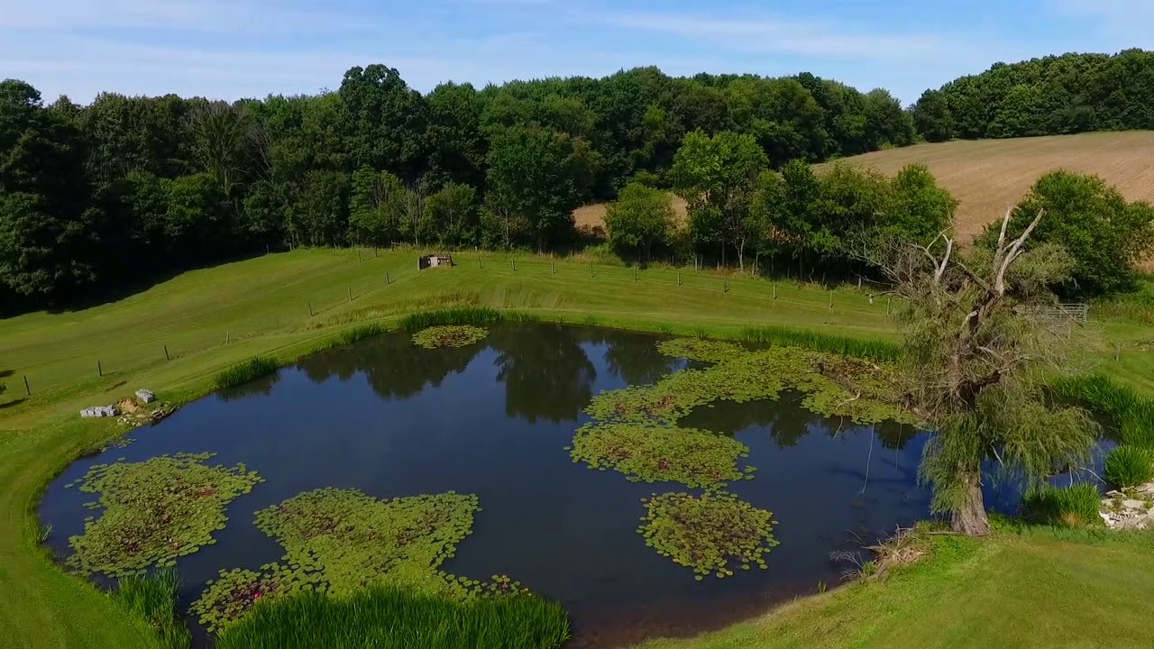 18160 Old Mansfield Road, Fredericktown YouTube