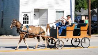N-B Slideshow: 2013 Markle Wildcat Festival