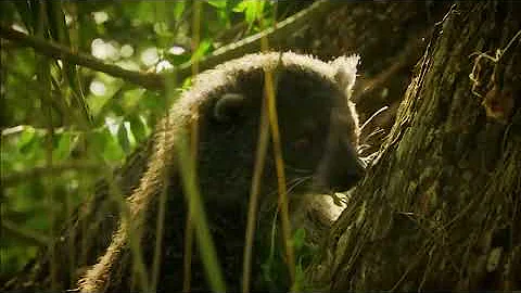Филиппины | Неизведанные острова | Discovery Channel
