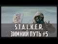 S.T.A.L.K.E.R. Зимний путь #5 (Лже артефакт)