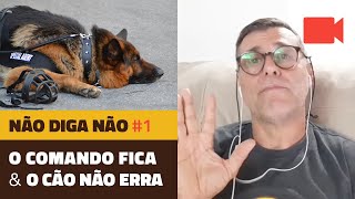 Não diga Não #1  O Comando Fica, O Cão Não Erra.