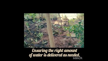 Wakeupfarms Smart Automation System #agriculturetechnology  #naturamfatrming#sustainablefarming