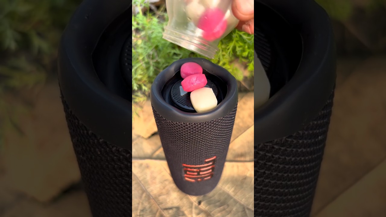 jbl flip6 centre fruit testing
