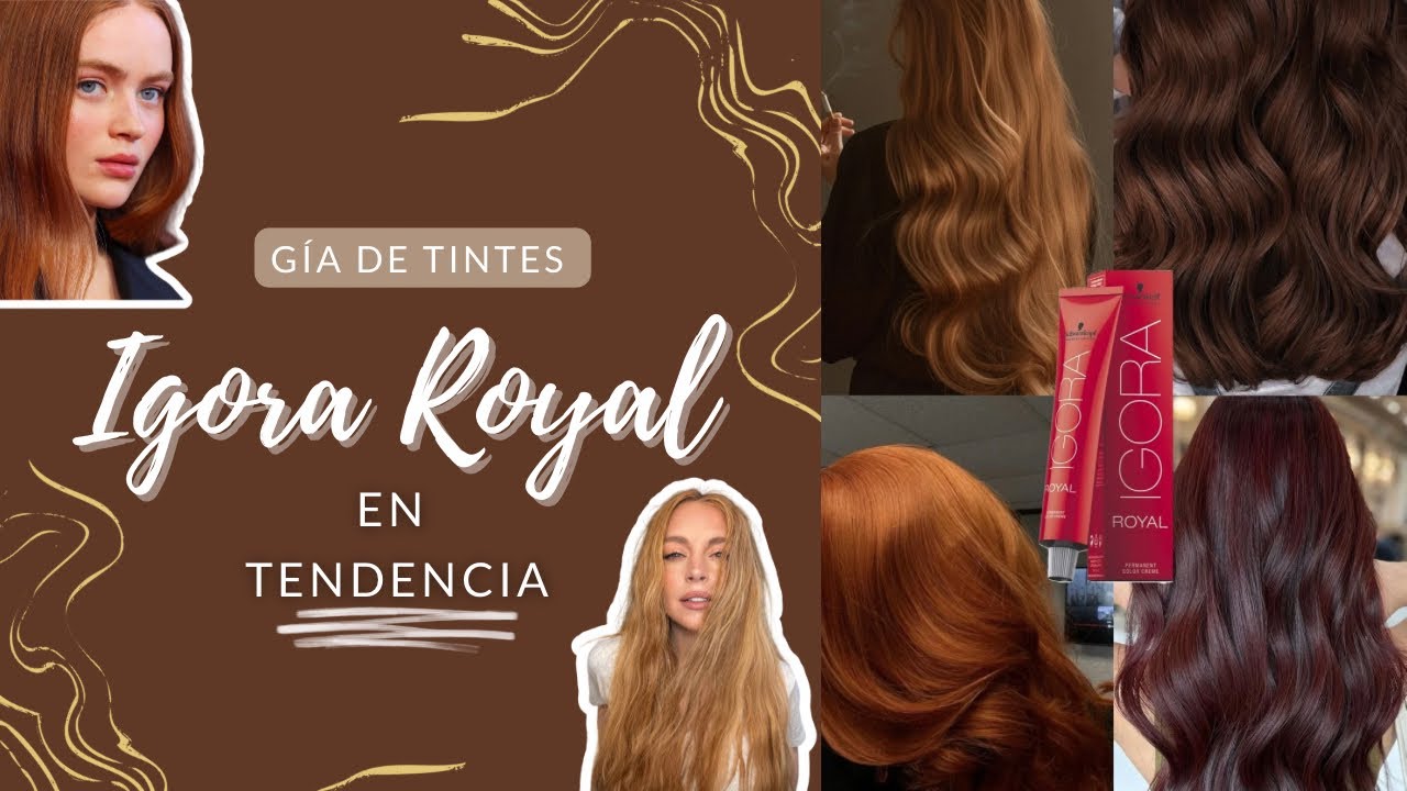 Descubre la Gama de Colores IGORA ROYAL| Tonos en TENDENCIA: Cobrizos, Rubios, Cherry, Chocolate…🤎