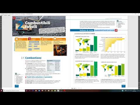 Combustibili fossili e carbone