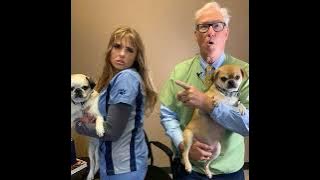 Is Pet Insurance Worth It? - Saving $$ Without Short-Changing Your Pet