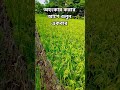 অহংকার করার আগে শুনুন একবার #trending #viral #islamic #islamicshorts #trandingshorts