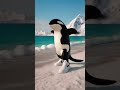 rap de los memes italianos