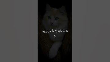 #قران كريم بصوت جميل #فضيلة الشيخ ياسر الدوسري #راحه نفسيه #صلي على النبي واذكر الله #سبحان الله