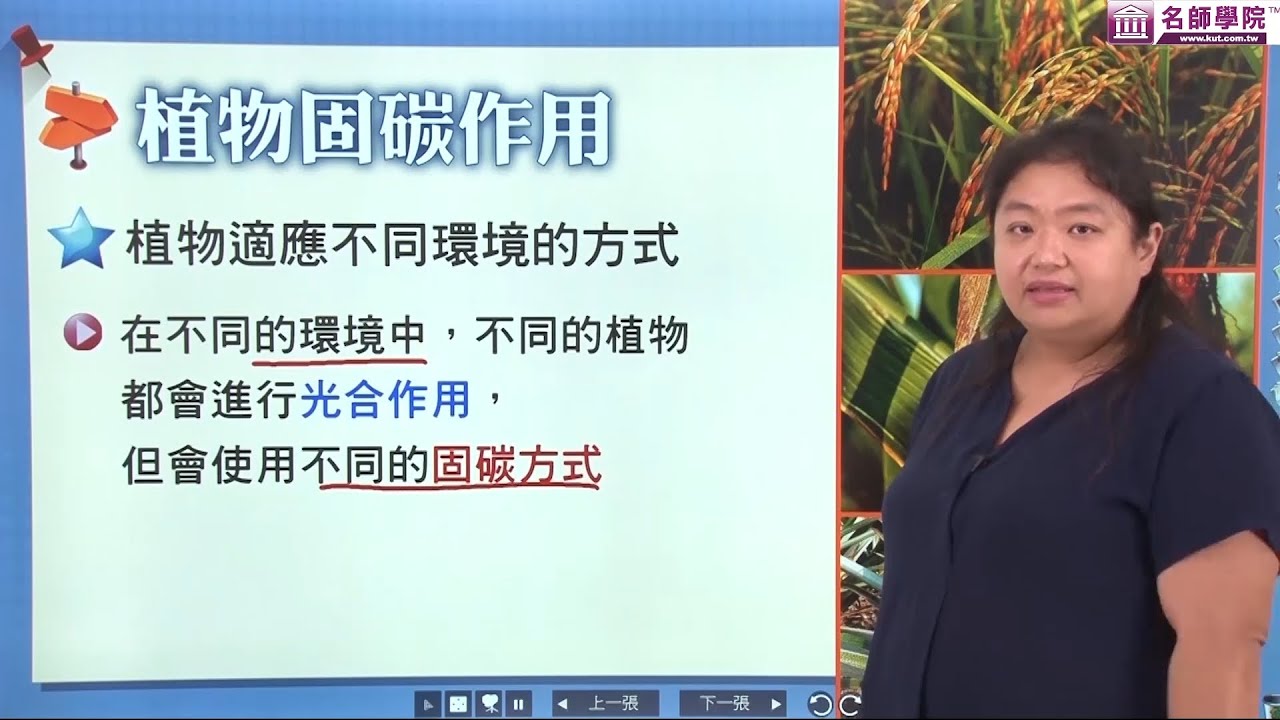 名師學院 高二生物植物固碳作用 Youtube