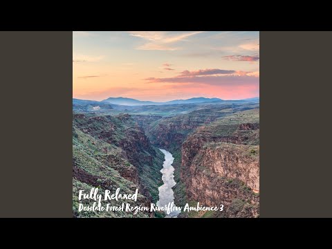 Παρακολούθηση Desolate Forest Region Riverflow Ambience, Pt. 1 στο YouTube