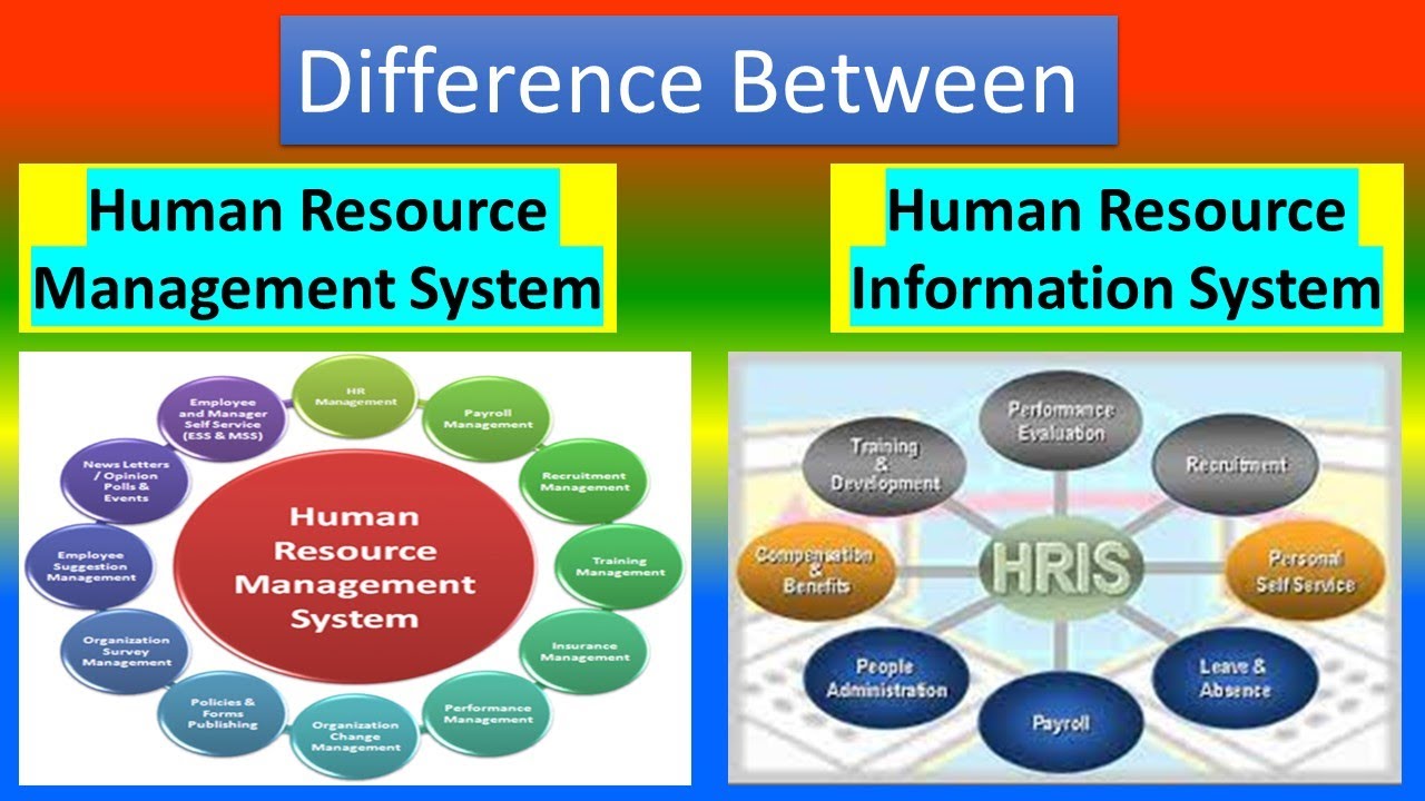 research on human resource information system