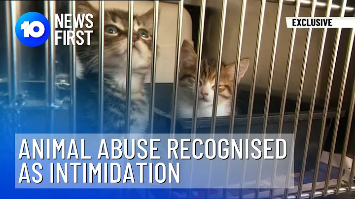 Animal Abuse Recognised As Form Of Domestic Violence Intimidation | 10 News First