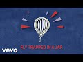 Modest Mouse - Fly Trapped In a Jar (Official Visualizer)