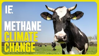 Tackling The Methane Climate Change Equation