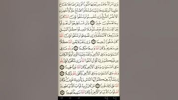 ماهر المعيقلي سورة النساء مكتوبة صفحة 99 مصحف المدينة المنورة جودة عالية