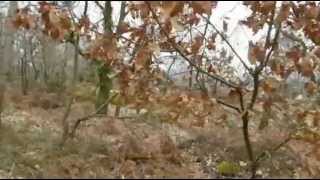 Ballades en Essonne, entre la Juine et l'Essonne mars 2013