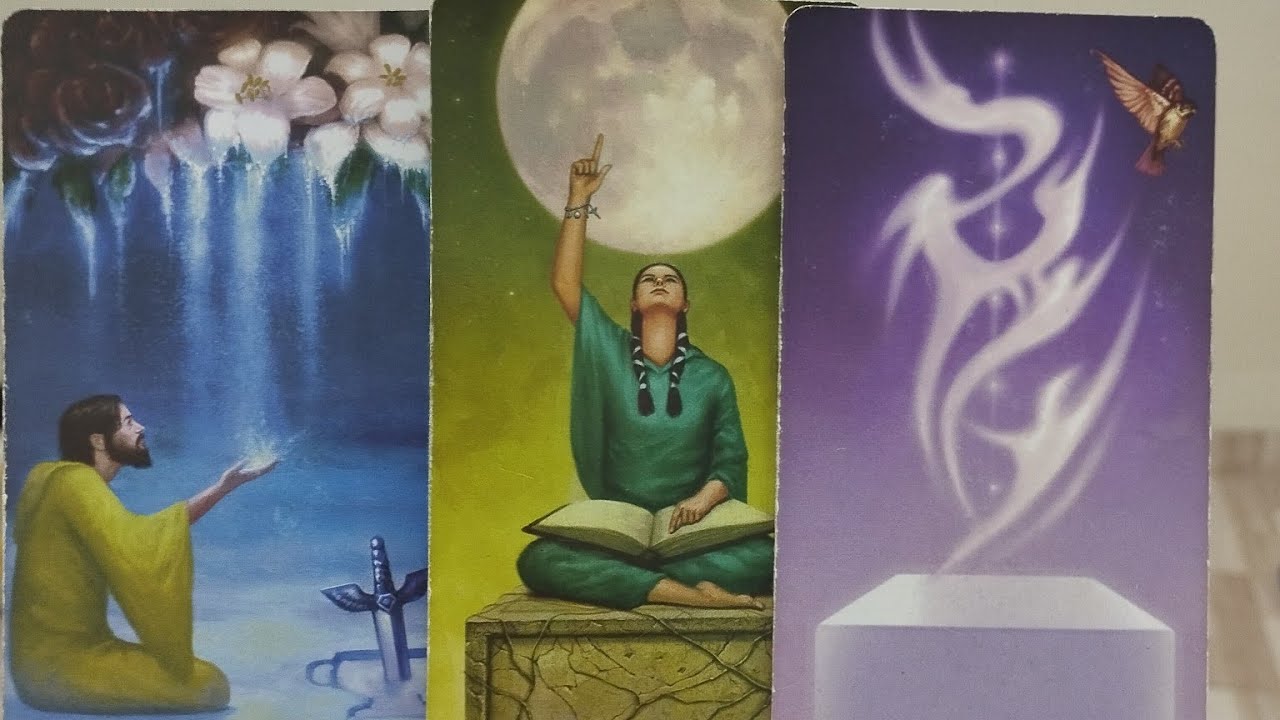 Intuitivas 13/439 🦋 Esse julgamento acaba com essa manipulação!