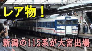 115系N37編成(新潟色)のOM出場を見物&EF64の大宮入場など