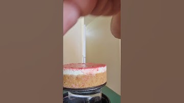 Sliding the No-Bake Cheesecake off the Springform pan - It was bit nervous as doing it.