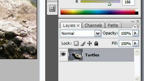 Create a Layer Mask in Photoshop CS3