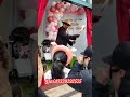 sandjorgen ngapak wa:081339292525