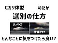 【メダカ飼育】ヒカリ体型の選別の仕方