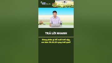 Dùng phân gì nuôi trái để không bị rụng trái non? #shorts #apnhoamau