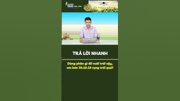 Dùng phân gì nuôi trái để không bị rụng trái non? #shorts #apnhoamau