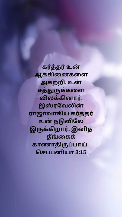 இஸ்ரவேலின் ராஜாவாகிய கர்த்தர் உன் நடுவிலே இருக்கிறார். இனித் தீங்கைக் காணாதிருப்பாய். #daily #shorts