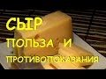 Сыр. Польза и вред.