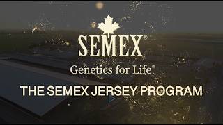 Semex Jersey Program 2026