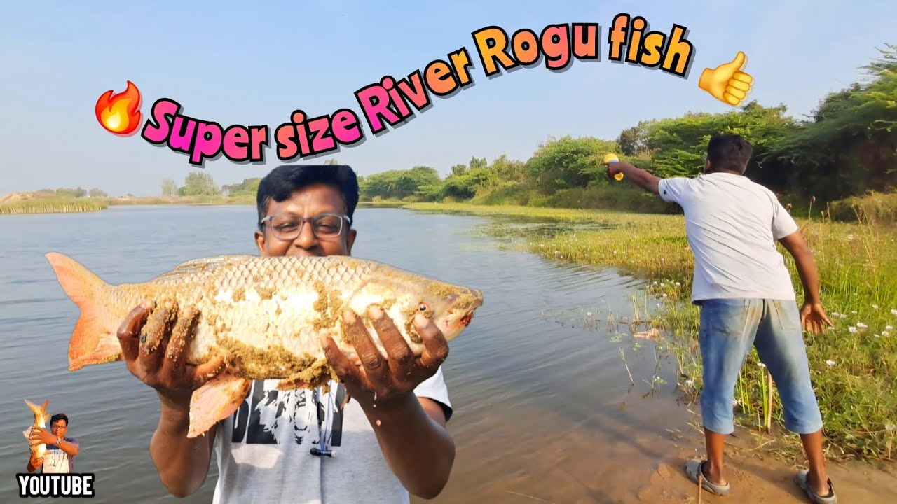 🔥பாலாற்றில் பெரிய அளவில் ரோகு மீன் வேட்டை👍💯Super big size River Rogu fish hunting/vol-109🐠🎣