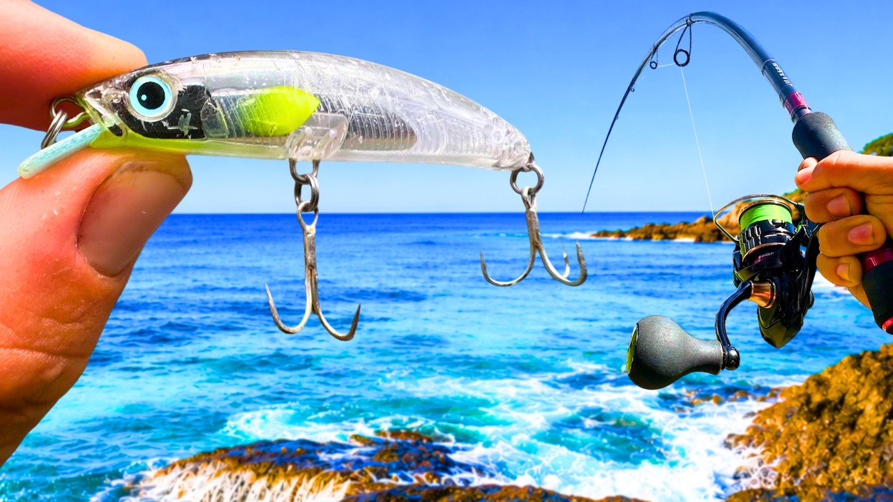 Is this the NEW BEST Hard Body for LANDBASED Rock Fishing?