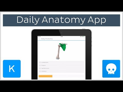 Learning anatomy with flashcards app: Daily Anatomy | Kenhub