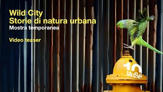Wild City. Storie di natura urbana - Mostra temporanea