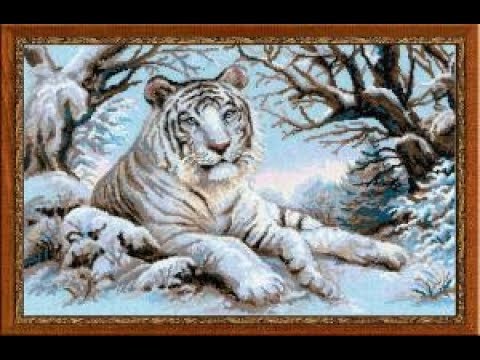 Тигр риолис вышивка