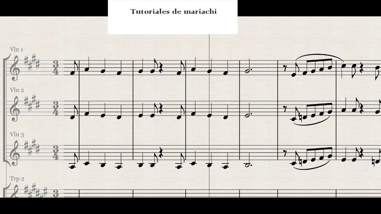 Que de raro tiene Violin