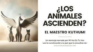 ¿LOS ANIMALES ASCIENDEN? | Una canalización del Maestro Kuthumi
