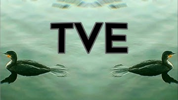 ZaPaTaZz - TVE (Official Video)