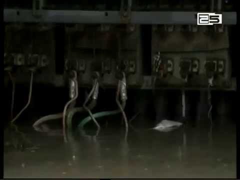 აჭარის მოსახლეობას ელექტროენერგია და სასმელი წყალი შეფერხებით მიეწოდება